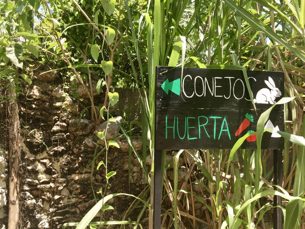 Yaxche Centro Hostal Y Camping Bacalar Exterior photo
